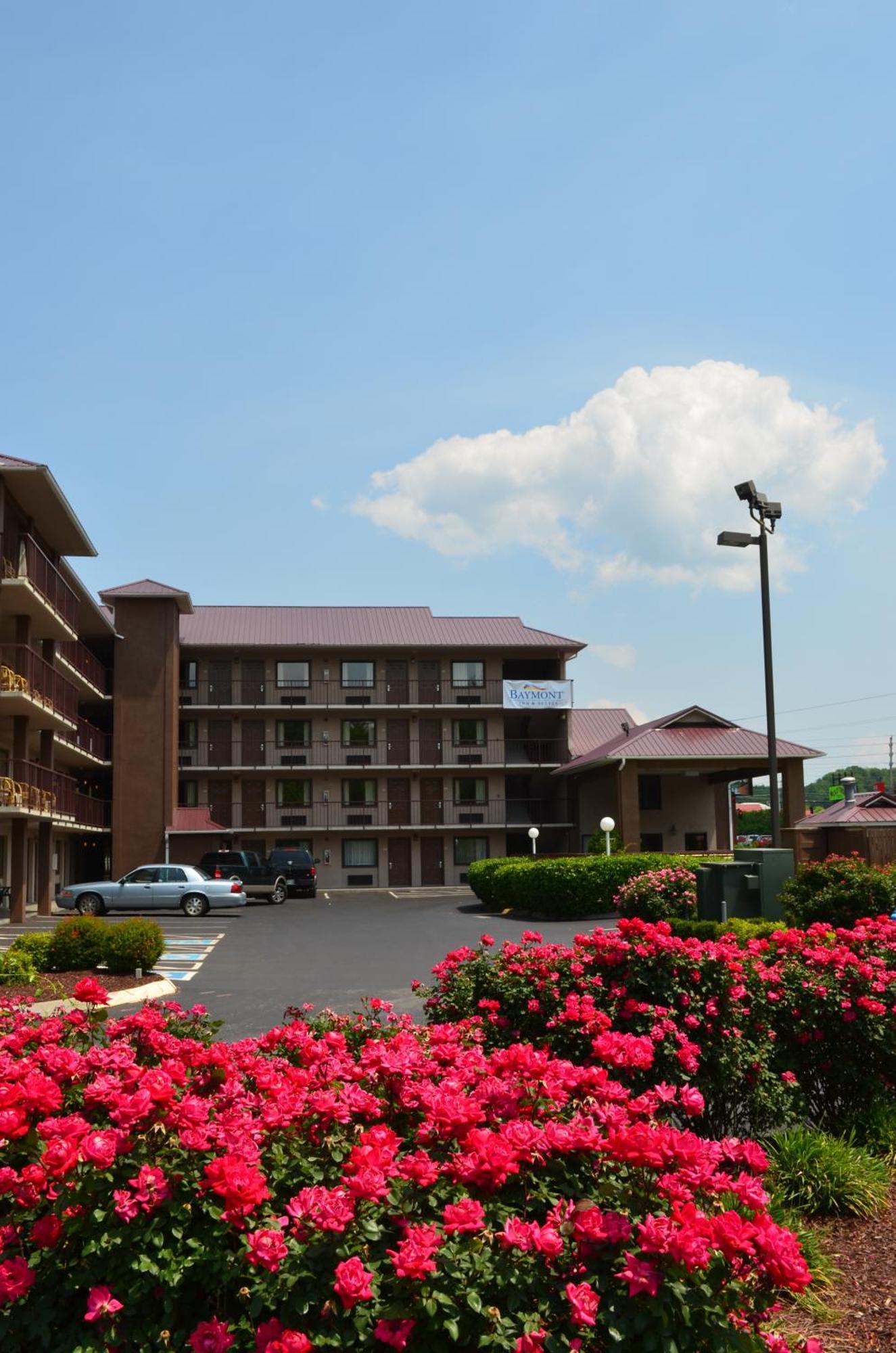 מלון Baymont By Wyndham Pigeon Forge Near Island Drive מראה חיצוני תמונה